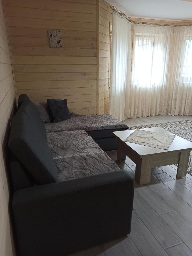 Brand New 2020 Specious Apartment Druzi 2 باليانيتسيا المظهر الخارجي الصورة