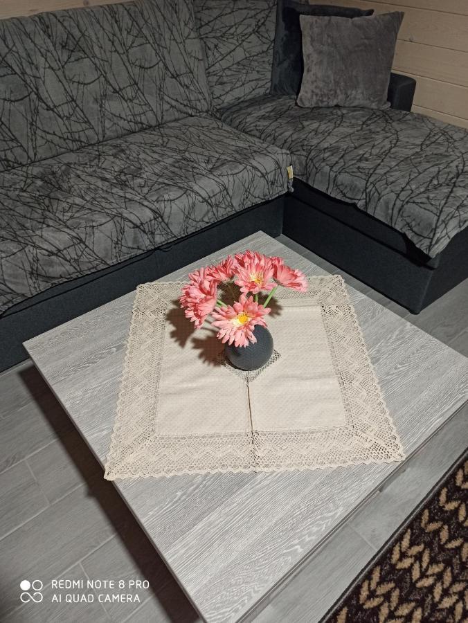 Brand New 2020 Specious Apartment Druzi 2 باليانيتسيا المظهر الخارجي الصورة